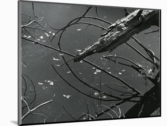 Wood and Water, c. 1970-Brett Weston-Mounted Photographic Print