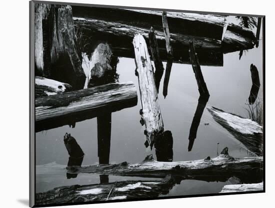 Wood and Water, Oregon, c. 1970-Brett Weston-Mounted Photographic Print