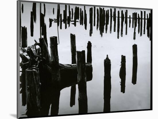 Wood and Water, Reflection , c. 1970-Brett Weston-Mounted Photographic Print