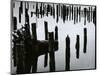 Wood and Water, Reflection , c. 1970-Brett Weston-Mounted Photographic Print