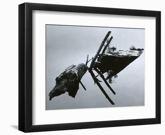 Wood and Water Reflection, Oregon, 1967-Brett Weston-Framed Photographic Print