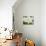 Wood Anemone (Anemone Nemorosa)-Adrian Bicker-Photographic Print displayed on a wall