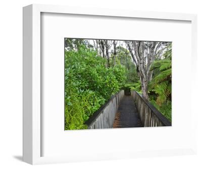  Wood Auckland Sentennial Park Piha Auckland North 