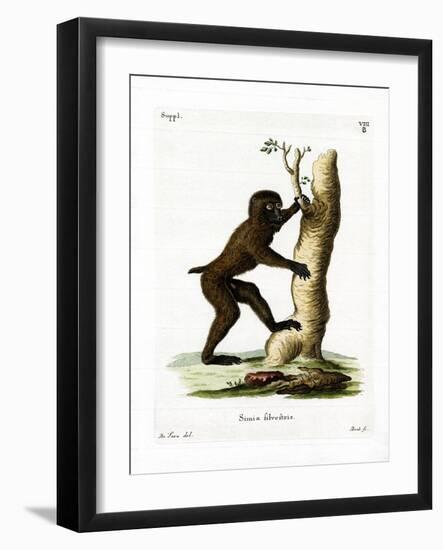 Wood Baboon-null-Framed Giclee Print