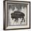 Wood Bison, 2024-Tim Ashwood-Framed Art Print