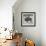 Wood Bison, 2024-Tim Ashwood-Framed Premium Giclee Print displayed on a wall