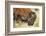 Wood Bison in Northern B.C-Richard Wright-Framed Photographic Print