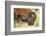 Wood Bison in Northern B.C-Richard Wright-Framed Photographic Print