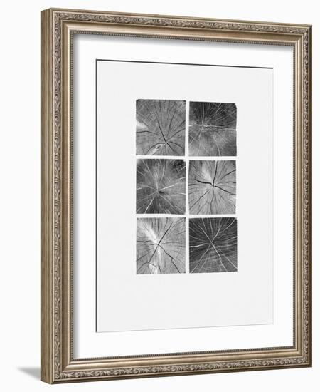 Wood Block Squares-Sam Appleman-Framed Art Print