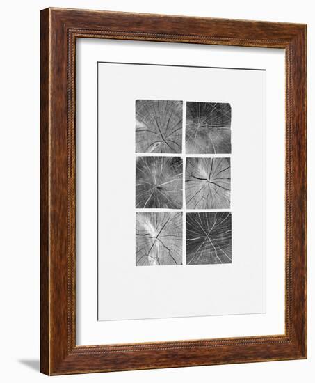 Wood Block Squares-Sam Appleman-Framed Art Print