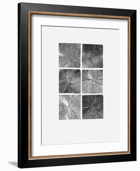 Wood Block Squares-Sam Appleman-Framed Art Print