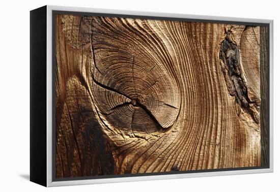 Wood, Branch, Pattern-Nikky-Framed Premier Image Canvas