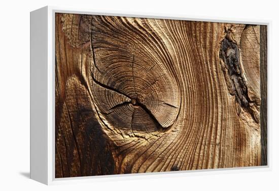 Wood, Branch, Pattern-Nikky-Framed Premier Image Canvas