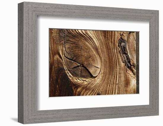 Wood, Branch, Pattern-Nikky-Framed Photographic Print