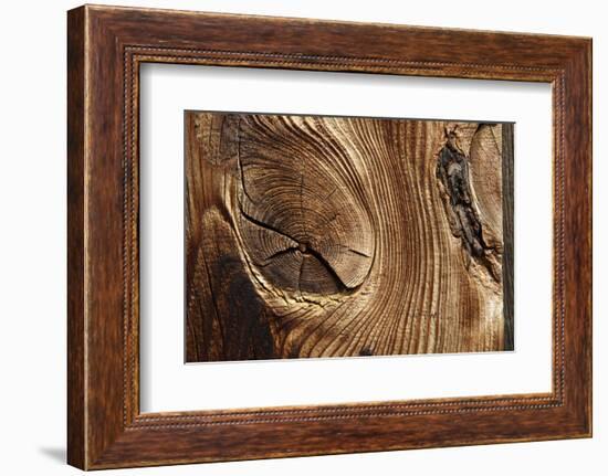 Wood, Branch, Pattern-Nikky-Framed Photographic Print