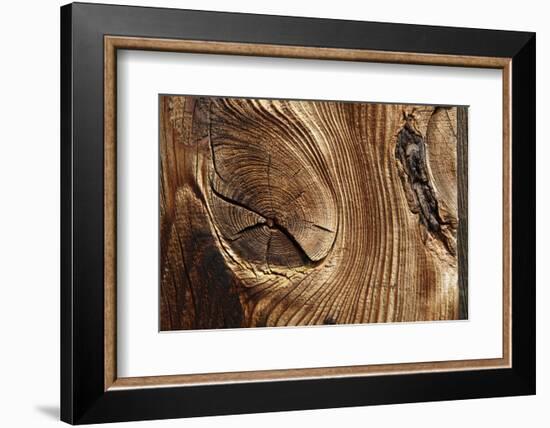 Wood, Branch, Pattern-Nikky-Framed Photographic Print