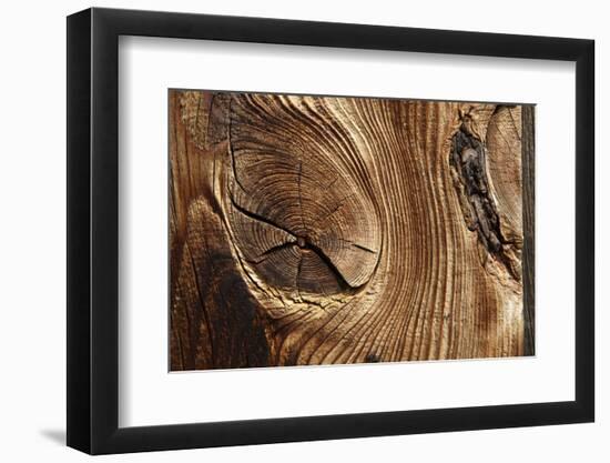 Wood, Branch, Pattern-Nikky-Framed Photographic Print