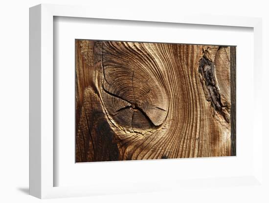 Wood, Branch, Pattern-Nikky-Framed Photographic Print