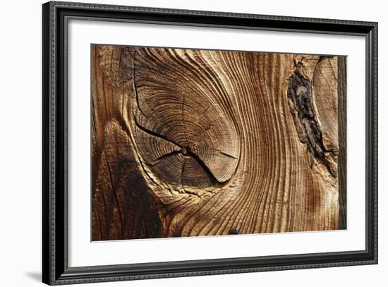 Wood, Branch, Pattern-Nikky-Framed Photographic Print