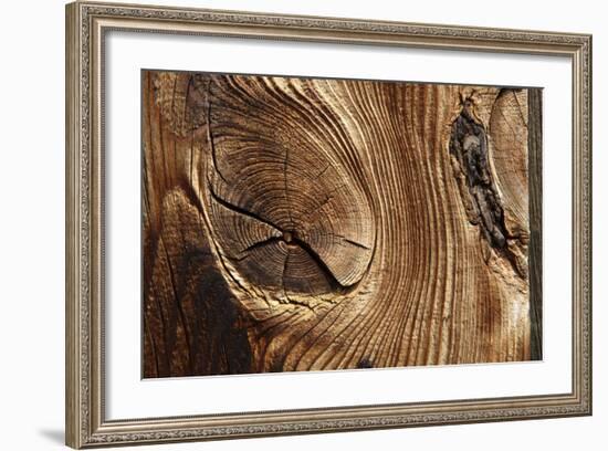 Wood, Branch, Pattern-Nikky-Framed Photographic Print