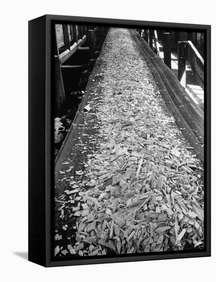 Wood Chips on Conveyor Belt after Passing Through Chipper and Heading for Next Stage at Paper Mill-Margaret Bourke-White-Framed Premier Image Canvas