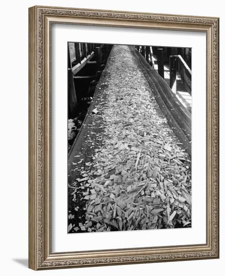 Wood Chips on Conveyor Belt after Passing Through Chipper and Heading for Next Stage at Paper Mill-Margaret Bourke-White-Framed Photographic Print