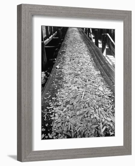 Wood Chips on Conveyor Belt after Passing Through Chipper and Heading for Next Stage at Paper Mill-Margaret Bourke-White-Framed Photographic Print