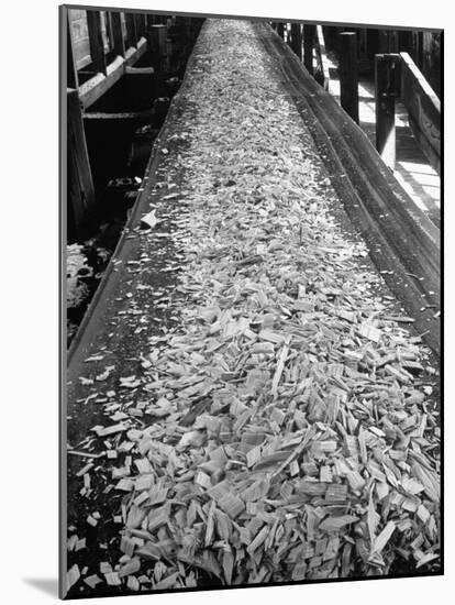 Wood Chips on Conveyor Belt after Passing Through Chipper and Heading for Next Stage at Paper Mill-Margaret Bourke-White-Mounted Photographic Print