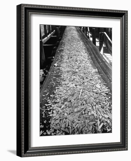 Wood Chips on Conveyor Belt after Passing Through Chipper and Heading for Next Stage at Paper Mill-Margaret Bourke-White-Framed Photographic Print