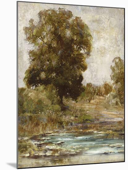 Wood Creek-Paul Duncan-Mounted Giclee Print