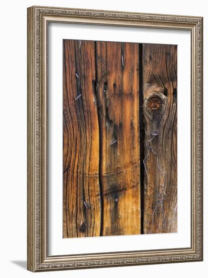 Wood Detail II-Kathy Mahan-Framed Photographic Print