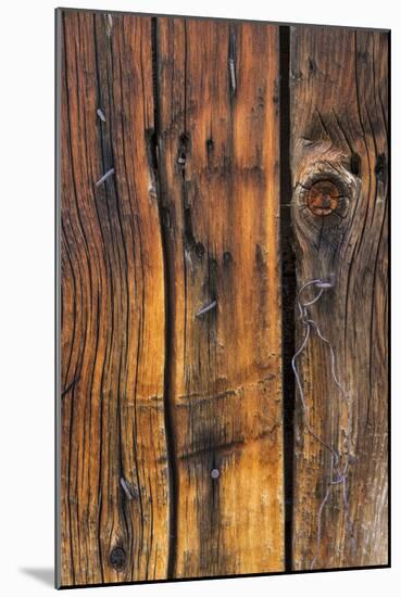 Wood Detail II-Kathy Mahan-Mounted Photographic Print