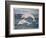 Wood Dolphins, 2024-Tim Ashwood-Framed Premium Giclee Print