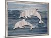 Wood Dolphins, 2024-Tim Ashwood-Mounted Art Print