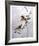 Wood Ducks-Chris Forrest-Framed Limited Edition