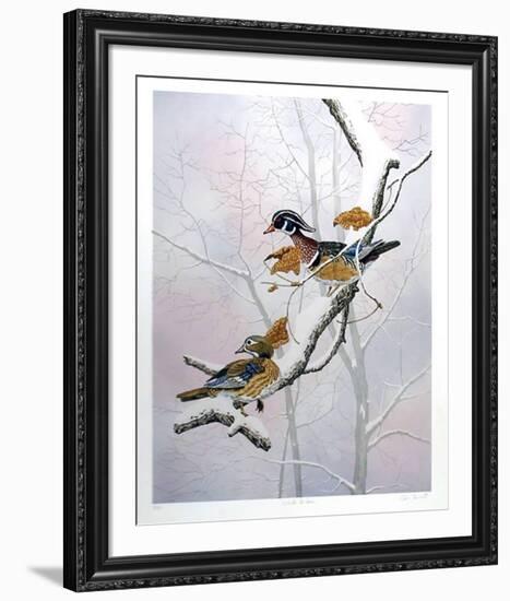 Wood Ducks-Chris Forrest-Framed Limited Edition