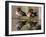 Wood Ducks-null-Framed Photographic Print