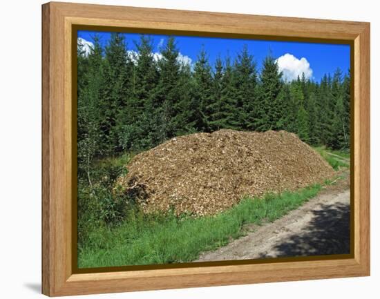 Wood for Biomass Power Plant-Bjorn Svensson-Framed Premier Image Canvas