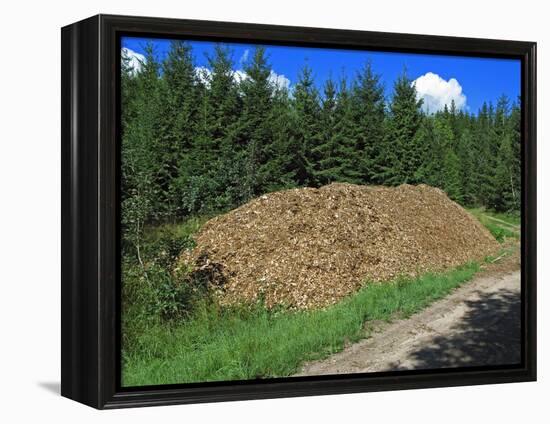 Wood for Biomass Power Plant-Bjorn Svensson-Framed Premier Image Canvas