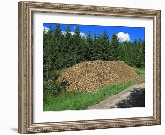 Wood for Biomass Power Plant-Bjorn Svensson-Framed Photographic Print