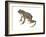 Wood Frog (Rana Sylvatica), Amphibians-Encyclopaedia Britannica-Framed Art Print