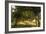 Wood Glade, 1889-Ivan Ivanovitch Shishkin-Framed Giclee Print