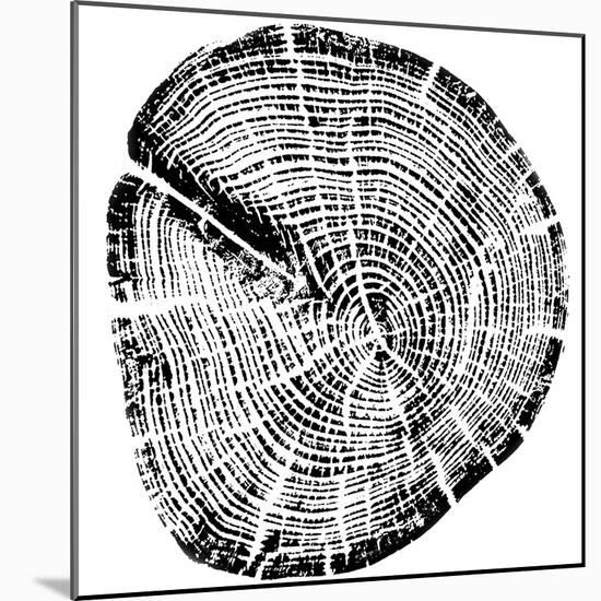 Wood Grain-PI Studio-Mounted Art Print