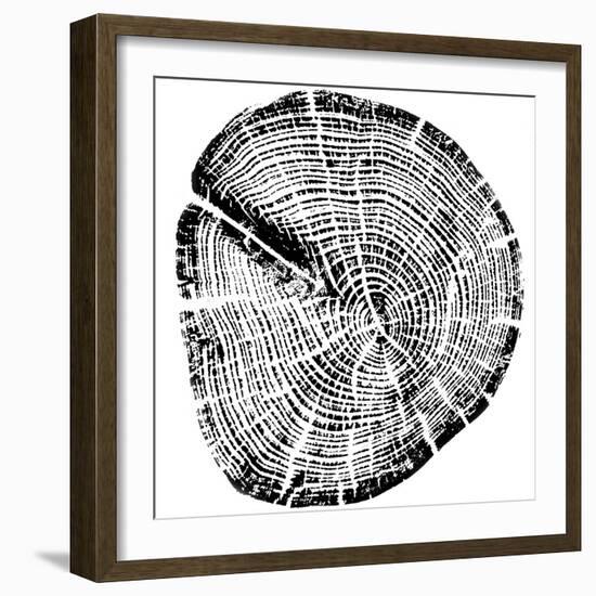 Wood Grain-PI Studio-Framed Premium Giclee Print