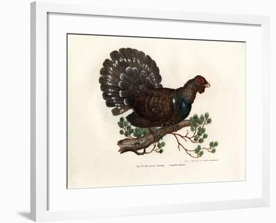 Wood Grouse, 1864-null-Framed Giclee Print