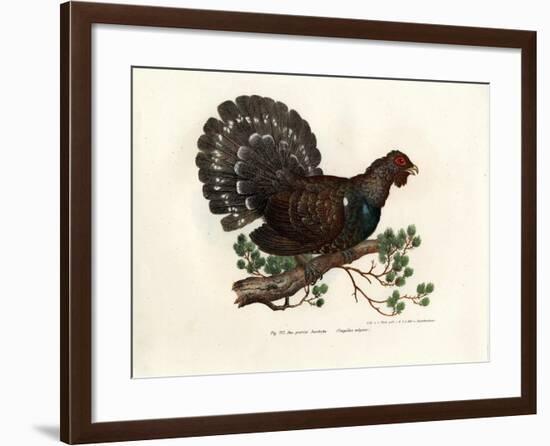 Wood Grouse, 1864-null-Framed Giclee Print