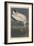 Wood Ibis, 1834-John James Audubon-Framed Giclee Print
