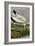 Wood Ibis-John James Audubon-Framed Art Print