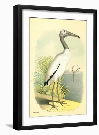 Wood Ibis-null-Framed Art Print