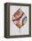 Wood Inlay Leaf 2-Filippo Ioco-Framed Stretched Canvas